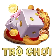 Hình ảnh minh họa cài đặt trình duyệt và quản lý quyền riêng tư cookie